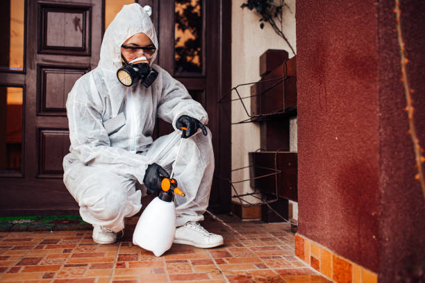 Reliable Bed Bug Control contractor in Dunbar, WV by Nex Pest Control
