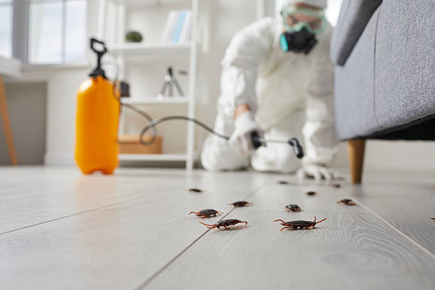 Trusted Fumigation Services service in Dunbar, WV - Nex Pest Control